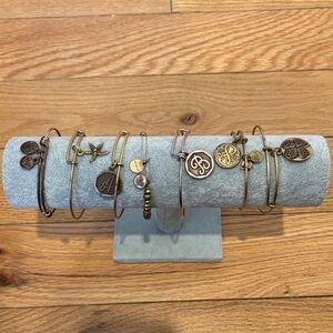 Alex and Ani Bronze Charm Bracelets